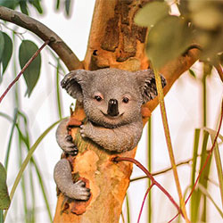 art of koala in tree